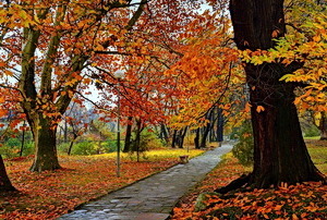 autumnpark